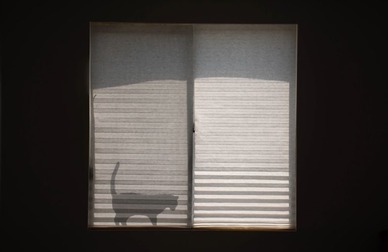 Photo Window shades